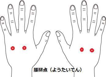 /common/upload_data/ponte-nenejp/image/http://www.kansai-kagaku.co.jp/wp/wp-content/uploads/2013/07/腰痛点1.png