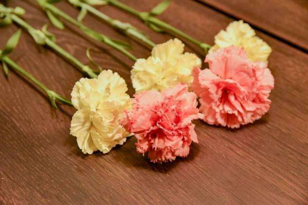 5月9日今日は「母の日」