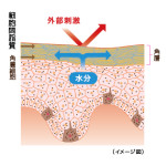 乾燥肌は老化を早める‼️